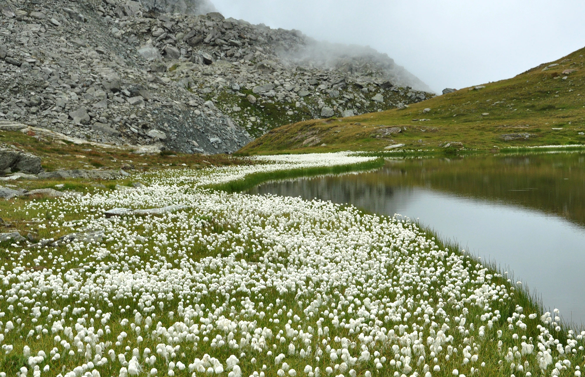 Lacs de Fenêtre
